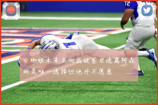 小蜘蛛未来去向成谜塞尔透露阿森纳是唯一选择但他并不愿意
